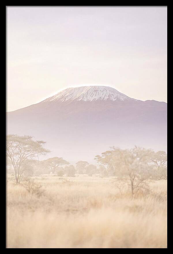 Kilimanjaro Above The Amboseli Savanna