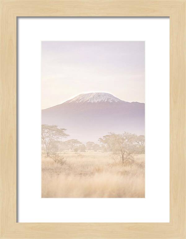 Kilimanjaro Above The Amboseli Savanna