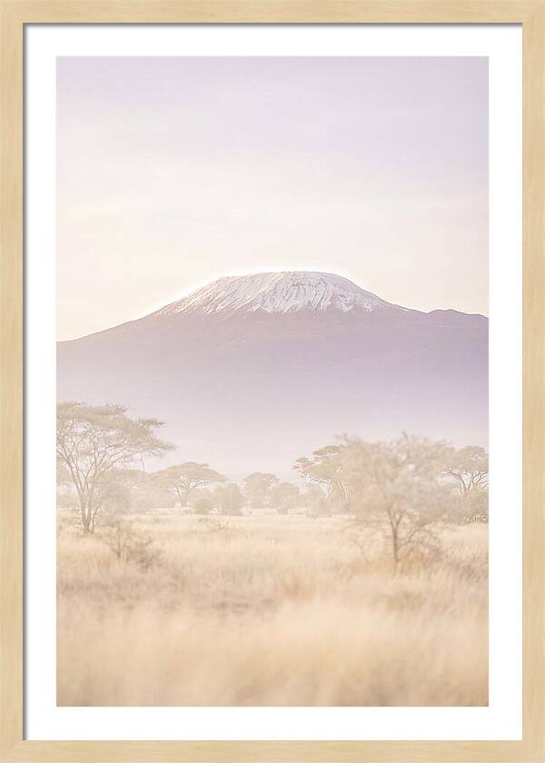 Kilimanjaro Above The Amboseli Savanna