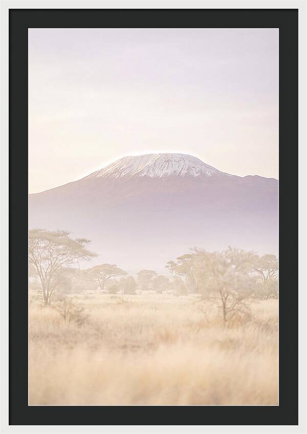 Kilimanjaro Above The Amboseli Savanna
