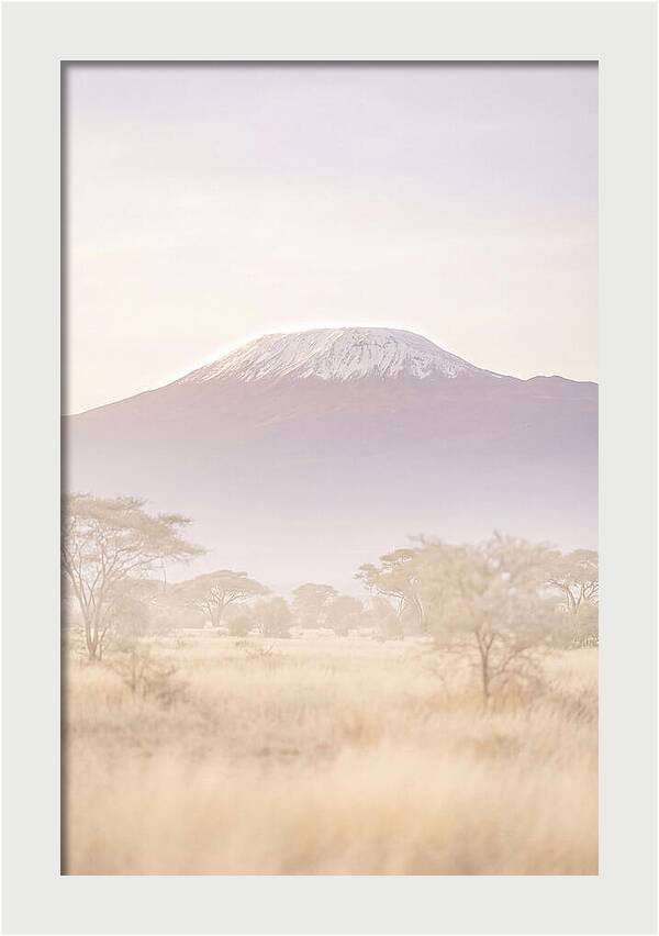 Kilimanjaro Above The Amboseli Savanna