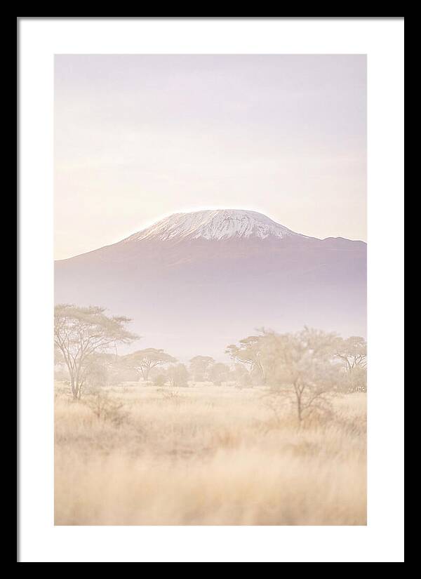 Kilimanjaro Above The Amboseli Savanna