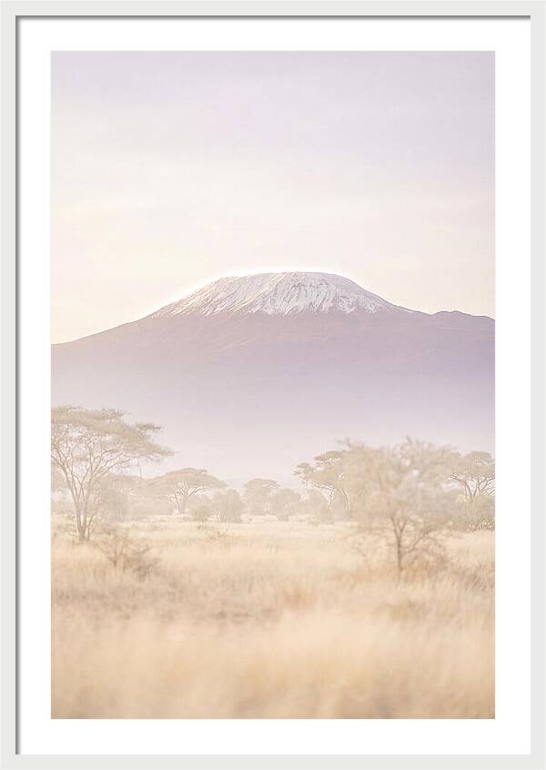 Kilimanjaro Above The Amboseli Savanna