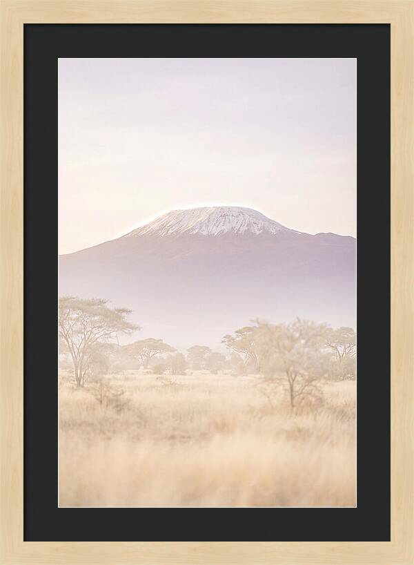 Kilimanjaro Above The Amboseli Savanna