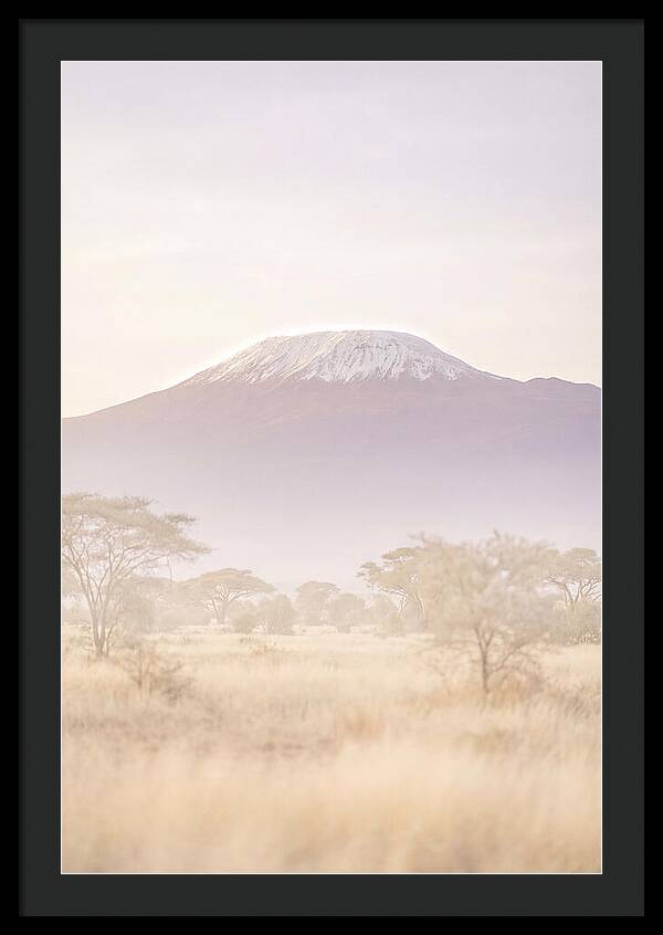Kilimanjaro Above The Amboseli Savanna