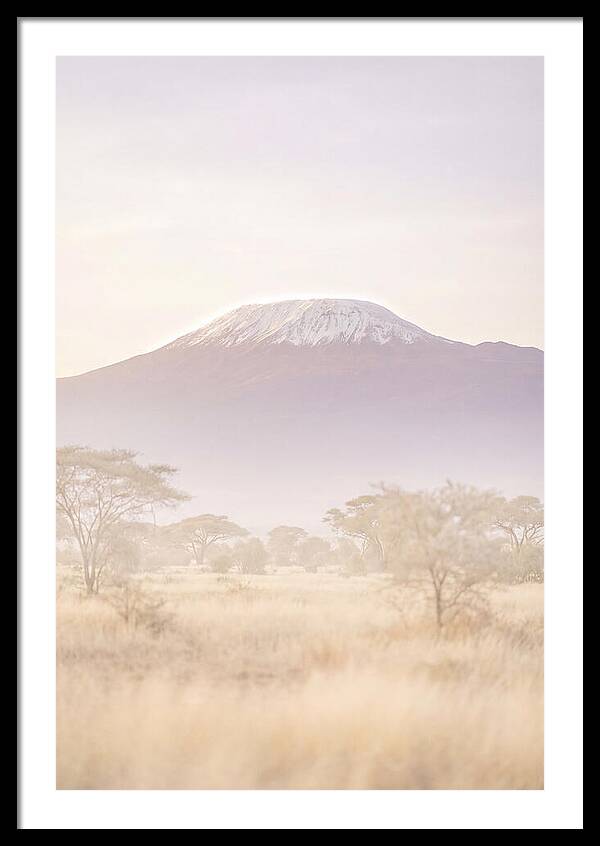 Kilimanjaro Above The Amboseli Savanna