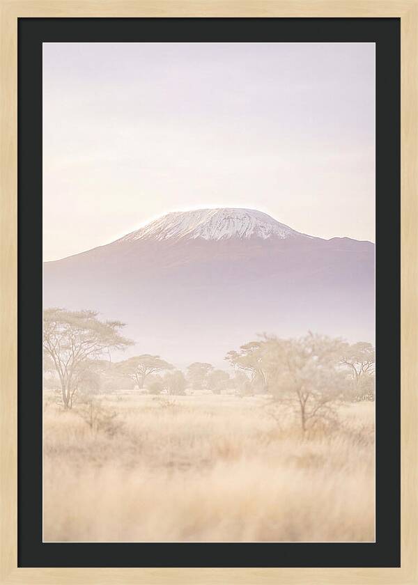 Kilimanjaro Above The Amboseli Savanna