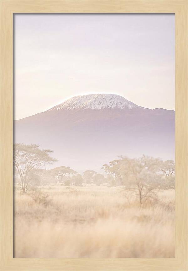 Kilimanjaro Above The Amboseli Savanna