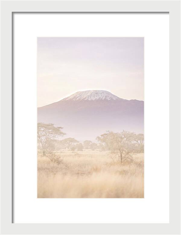 Kilimanjaro Above The Amboseli Savanna