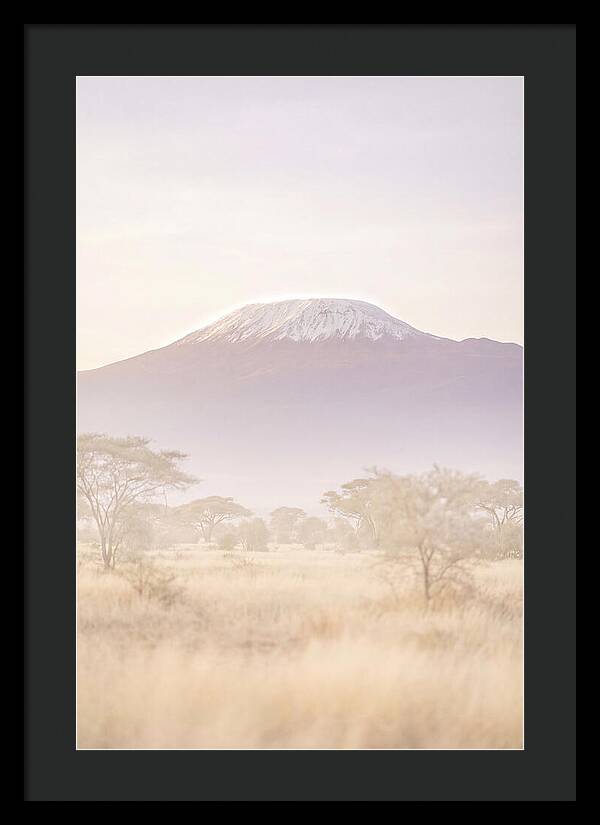 Kilimanjaro Above The Amboseli Savanna