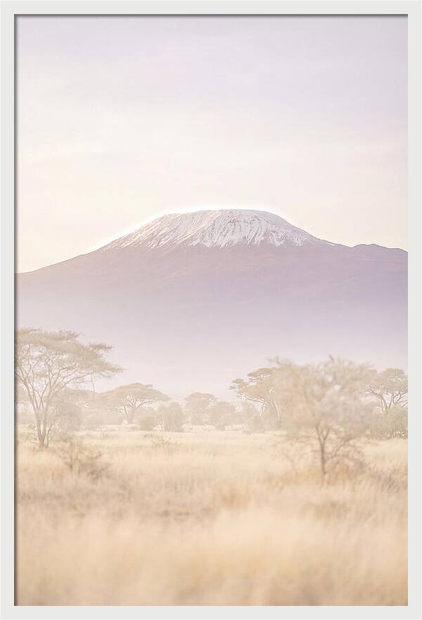 Kilimanjaro Above The Amboseli Savanna