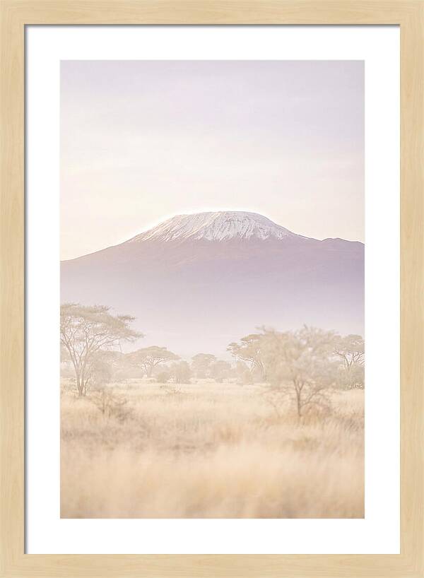 Kilimanjaro Above The Amboseli Savanna