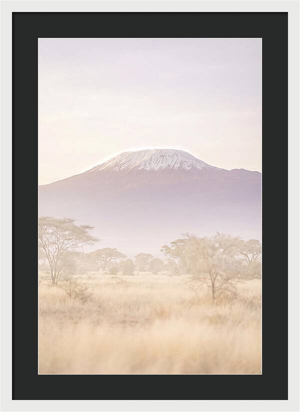 Kilimanjaro Above The Amboseli Savanna