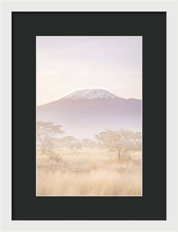 Kilimanjaro Above The Amboseli Savanna