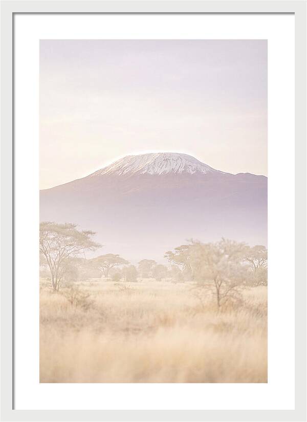 Kilimanjaro Above The Amboseli Savanna
