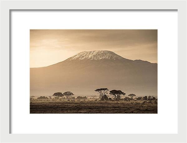 Kilimanjaro Above The Savanna