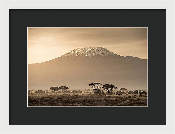 Kilimanjaro Above The Savanna