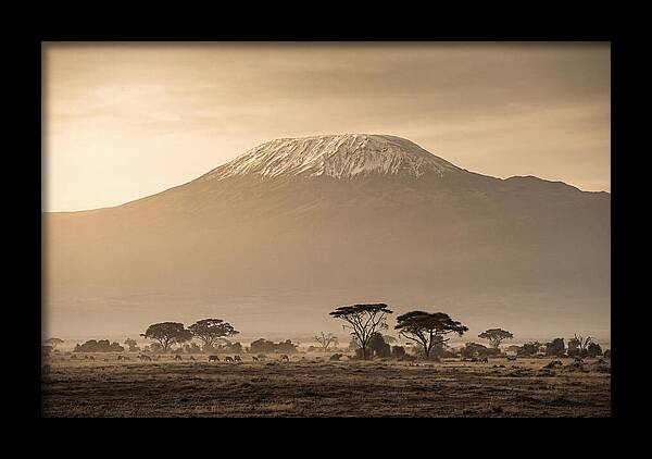 Kilimanjaro Above The Savanna