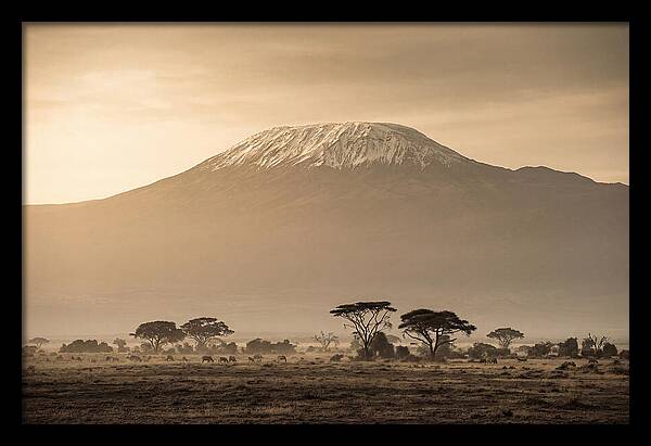 Kilimanjaro Above The Savanna