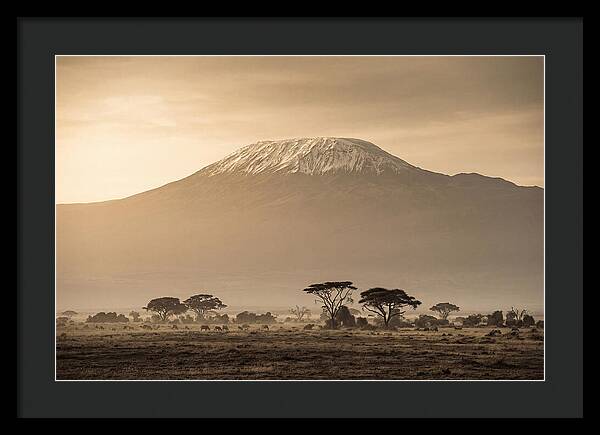 Kilimanjaro Above The Savanna