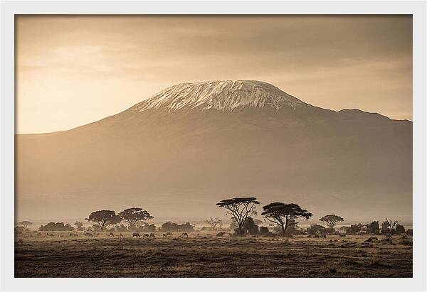 Kilimanjaro Above The Savanna