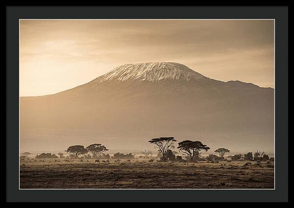 Kilimanjaro Above The Savanna