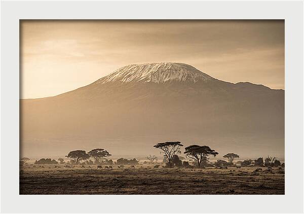 Kilimanjaro Above The Savanna