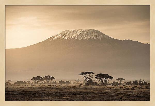 Kilimanjaro Above The Savanna