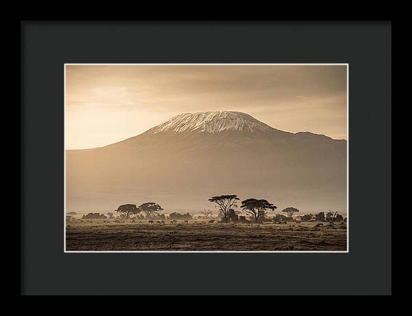 Kilimanjaro Above The Savanna