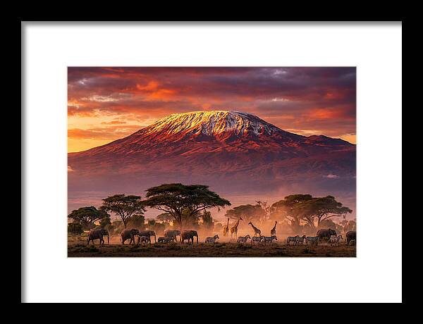 Kilimanjaro At Dusk