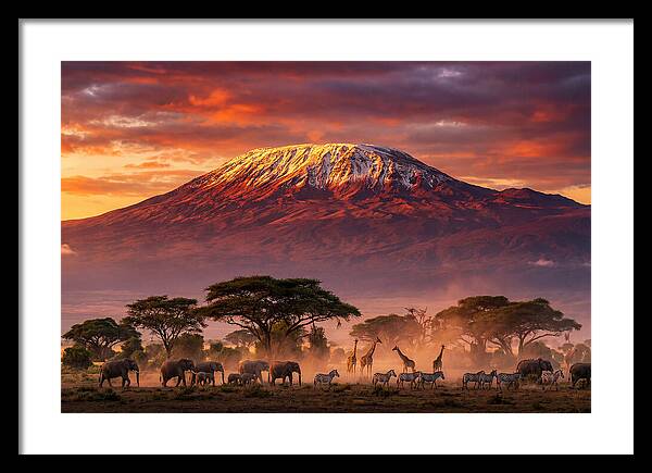Kilimanjaro At Dusk