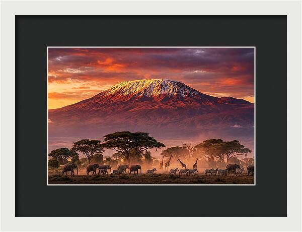 Kilimanjaro At Dusk
