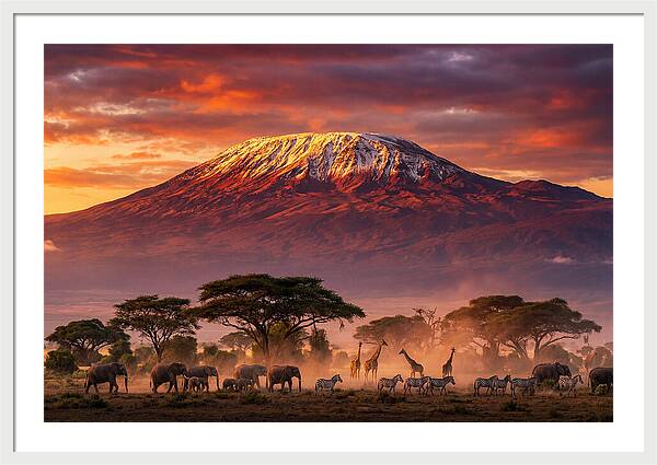 Kilimanjaro At Dusk