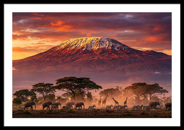 Giraffe Art
