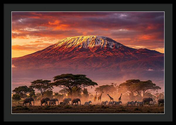 Kilimanjaro At Dusk