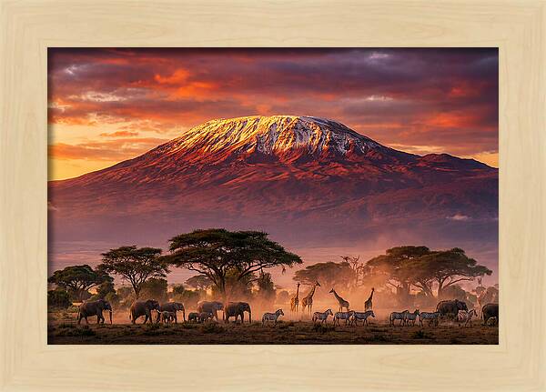 Kilimanjaro At Dusk