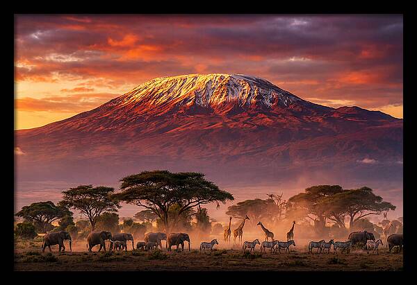 Kilimanjaro At Dusk