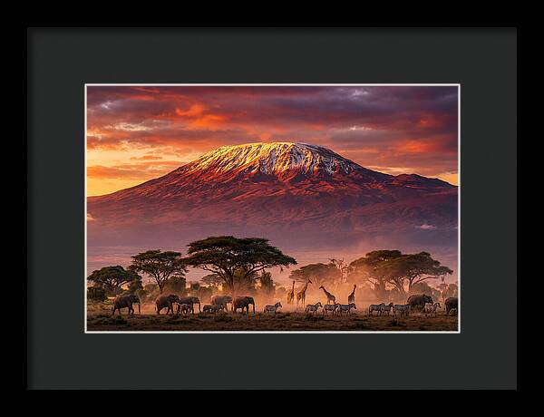 Kilimanjaro At Dusk