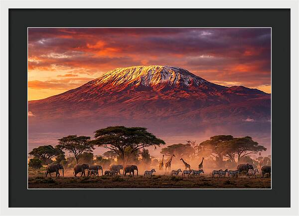 Kilimanjaro At Dusk