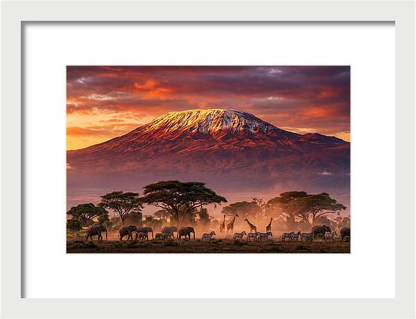 Kilimanjaro At Dusk