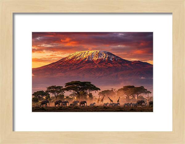 Kilimanjaro At Dusk