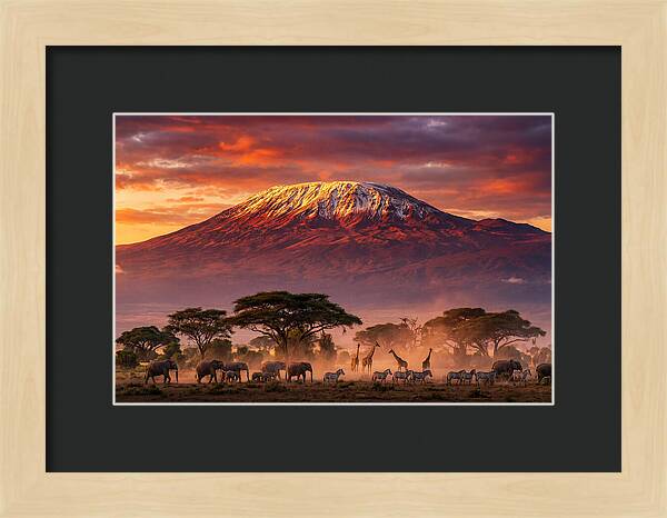 Kilimanjaro At Dusk