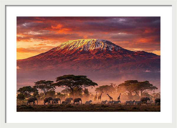 Kilimanjaro At Dusk