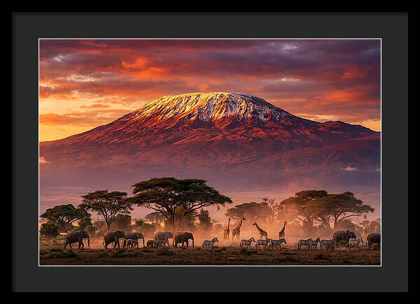 Kilimanjaro At Dusk