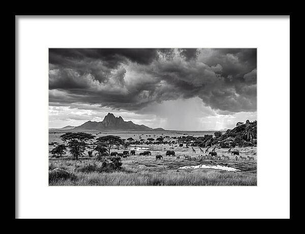 Kilimanjaro Savanna Vista