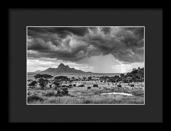 Kilimanjaro Savanna Vista