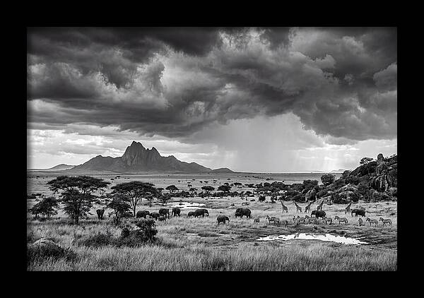Kilimanjaro Savanna Vista