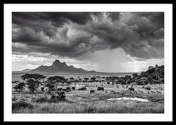 Kilimanjaro Savanna Vista