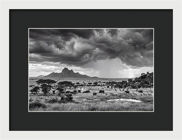 Kilimanjaro Savanna Vista