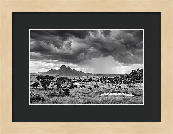 Kilimanjaro Savanna Vista